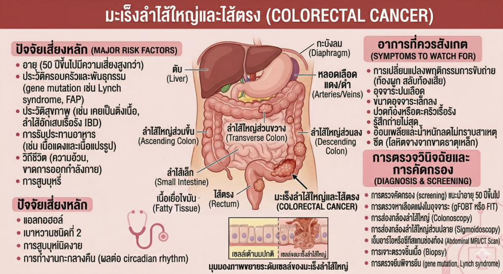 ทำความเข้าใจ มะเร็งลำไส้ใหญ่และไส้ตรง (Colorectal Cancer)